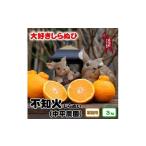 ふるさと納税 ▼和歌山 有田 広川 不知火 しらぬい デコポン 果物 くだもの ギフト / 2月中旬発送【有田不知火】産地直送　大好き不知火３kgご.. 和歌山県広川町