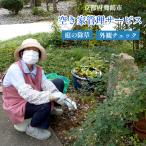 空き家管理サービス 除草 家屋チェック 除草処理付き