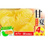 甘夏 訳あり 4kg
