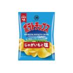 湖池屋 ポテトチップス じゃがいもと塩 55g×12袋