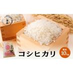 コシヒカリ 1等米 精米10kg お米ブランド米
