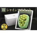 シャインマスカット秀品 種無し皮ごと 産シャインマスカット