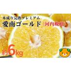 愛南ゴールド 河内晩柑 6kg