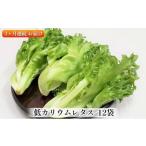fu.... налог ano lettuce ( leaf lettuce ) свежий хруст культивирование период средний нет пестициды низкий калий lettuce 12 пакет ×3 месяцев продолжение доставка комплект три слоя префектура Iga city 