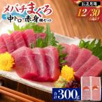お正月 メバチ鮪 柵 セット 漁連 M077-006-02