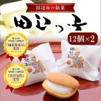 銘菓 田辺っ子 たなべっこ 12個入り×2箱