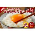 ふるさと納税 【9ヶ月定期便】相模原市田名のおがわのたまご　ピンク卵 Mサイズ 30個(27個＋割れ補償3個)×9か月 | 卵 鶏卵 玉子 たまご.. 神奈川県相模原市