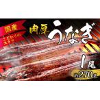 活うなぎ蒲焼 約270g×1尾