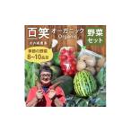 百笑オーガニック野菜セット 8~10品目