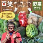 百笑オーガニック野菜セット 8~10品目