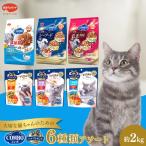 キャットフード コンボ 6種類 アソート 厳選素材