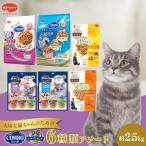 キャットフード コンボ 6種類 アソート セット