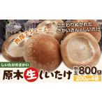 阿蘇 原木生しいたけ 中玉800g 200g×4袋
