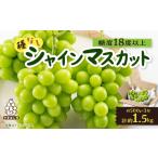 ふるさと納税 山梨市産「シャインマスカット(種なし)」 約1.5kg (約500g×3房)_甘いシャインマスカット あまいシャインマスカット 美味しい.. 山梨県山梨市