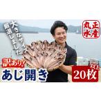 ふるさと納税 ＜訳あり＞国産特大青あじの開き(計4.5kg以上・20枚以上)簡易包装 干物 アジ 魚介 水産加工品 開き おかず おつまみ 宮崎県 門川町.. 宮崎県門川町