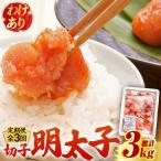 博多 辛子明太子 切子 1kg
