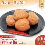 紀州南高梅 村っ子梅 塩分約8% 400g×6