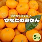 ひなたのみかん 5kg