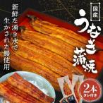 うなぎ白焼 2本