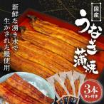 うなぎ白焼 3本