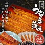 うなぎ蒲焼 5本