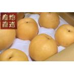 ふるさと納税 261.【先行予約】【産地直送】新興梨(しんこうなし) 5kg 鳥取県若桜町