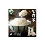 令和5年産 田野米 40kg