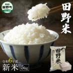 令和6年産 田野米 5kg