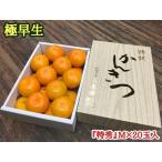 極早生 みかん 有田 化粧箱 小箱 特秀 SSサイズ 約2kg