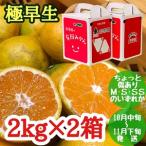 ちょっと 傷あり 極早生 みかん 有田 M~SSサイズ 約2kg