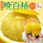 晩白柚 ばんぺいゆ 2Lサイズ 2玉