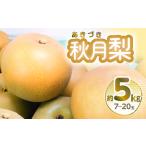 ショッピングふるさと納税 梨 ふるさと納税 【先行予約】 秋月梨 約5kg 7~20玉 梨 なし 八代市産【2024年8月下旬より順次発送】 熊本県八代市