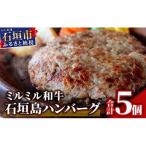 ミルミル和牛 石垣島ハンバーグ 5個入り