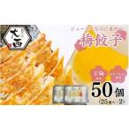 ふるさと納税 大西の梅餃子セット 50個入（25個入り×2パック） / 餃子 セット 食べ比べ 和歌山県 田辺市 ギョーザ 手作り 紀州南高梅 南.. 和歌山県田辺市