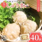 しゅうまい 大西のしゅうまいセット 40個