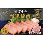 26-001.幻のメス牛 四万十牛特選焼肉 約400g