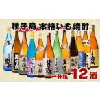 種子島 本格焼酎 12酒 飲みくらべセット