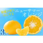 ニューサマーオレンジ 3kg