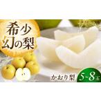 かおり梨 5-8玉入り BKAD057 梨