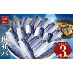 ふるさと納税 【訳あり】勝浦市の人気 海鮮お礼品 無添加 塩サバ 3kg 株式会社西川《6月上旬-6月末頃出荷》千葉県 勝浦市 塩サバ さば 魚 無添.. 千葉県勝浦市