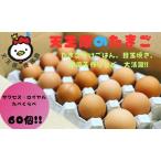 fu.... налог [ Tenno .. Tama .]sakses яйцо 30 шт / Royal яйцо 30 шт Ibaraki префектура . общий город 