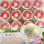 製造直売での手作りアイスクリーム12個セット