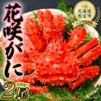 fu.... налог [ Hokkaido корень . производство ] цветок ...500g передний и задний (до и после) ×2 хвост комплект ( наклон рейс ) B-80005 Hokkaido корень . город 