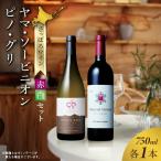さっぽろワイン 赤白2本セット 750ml×2本