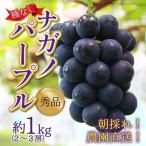 上野梨園のナガノパープル 約1kg