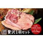 くまもと 天草大王 贅沢1羽セット 約1.5kg