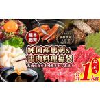 ふるさと納税 純国産馬刺し&料理福袋 計1kg 2年連続農林水産大臣賞受賞《90日以内に出荷予定(土日祝除く)》 熊本県山江村