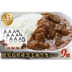 ふるさと納税 027-92 5等級黒毛和牛カレー ごろごろお肉入り200gx9個 鹿児島県南九州市