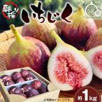 いちじく 朝採り 約1kg