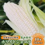 とうもろこし ホワイトショコラ 白い 露地栽培